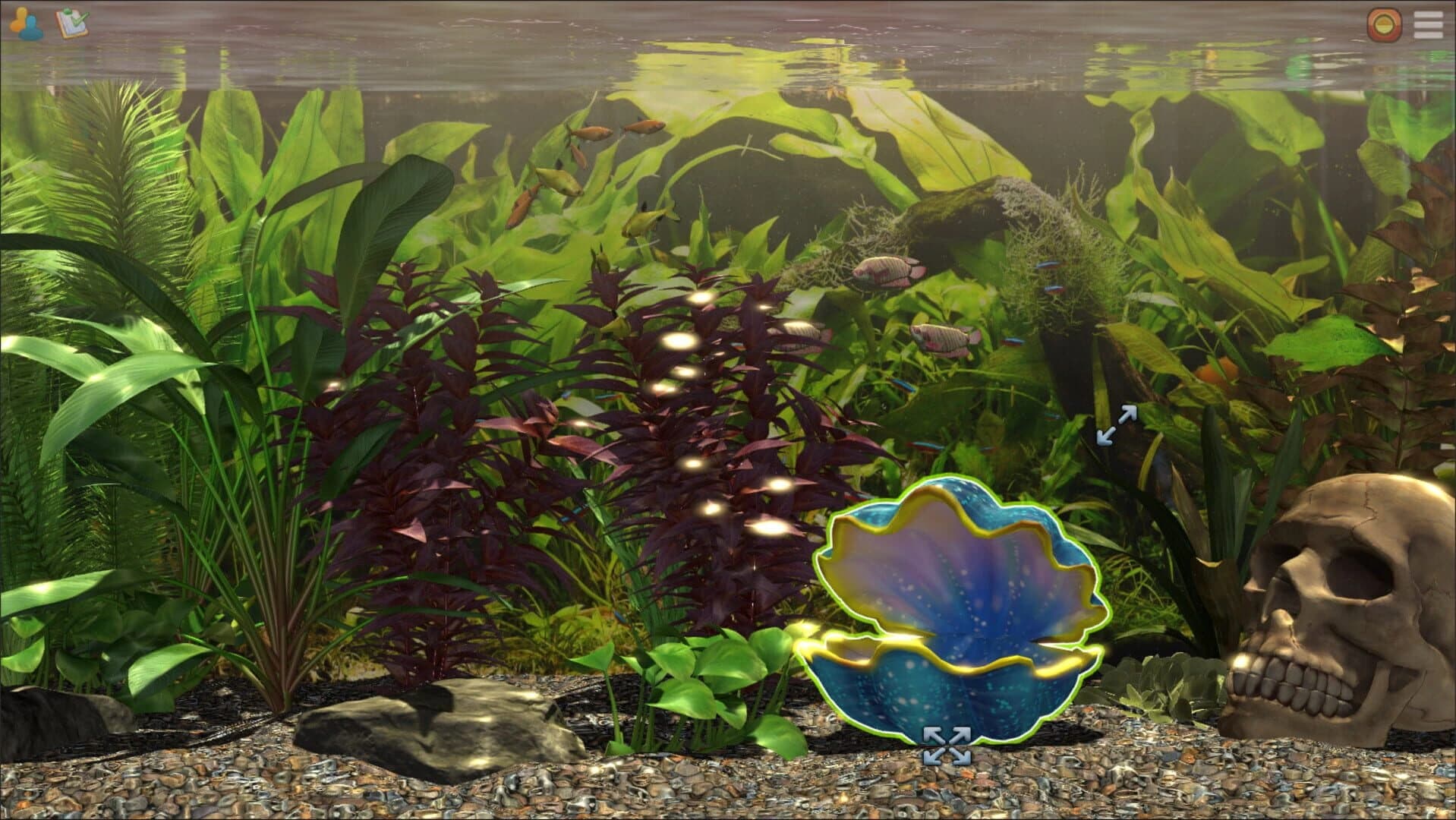Snapshot Aquarium screenshot 4