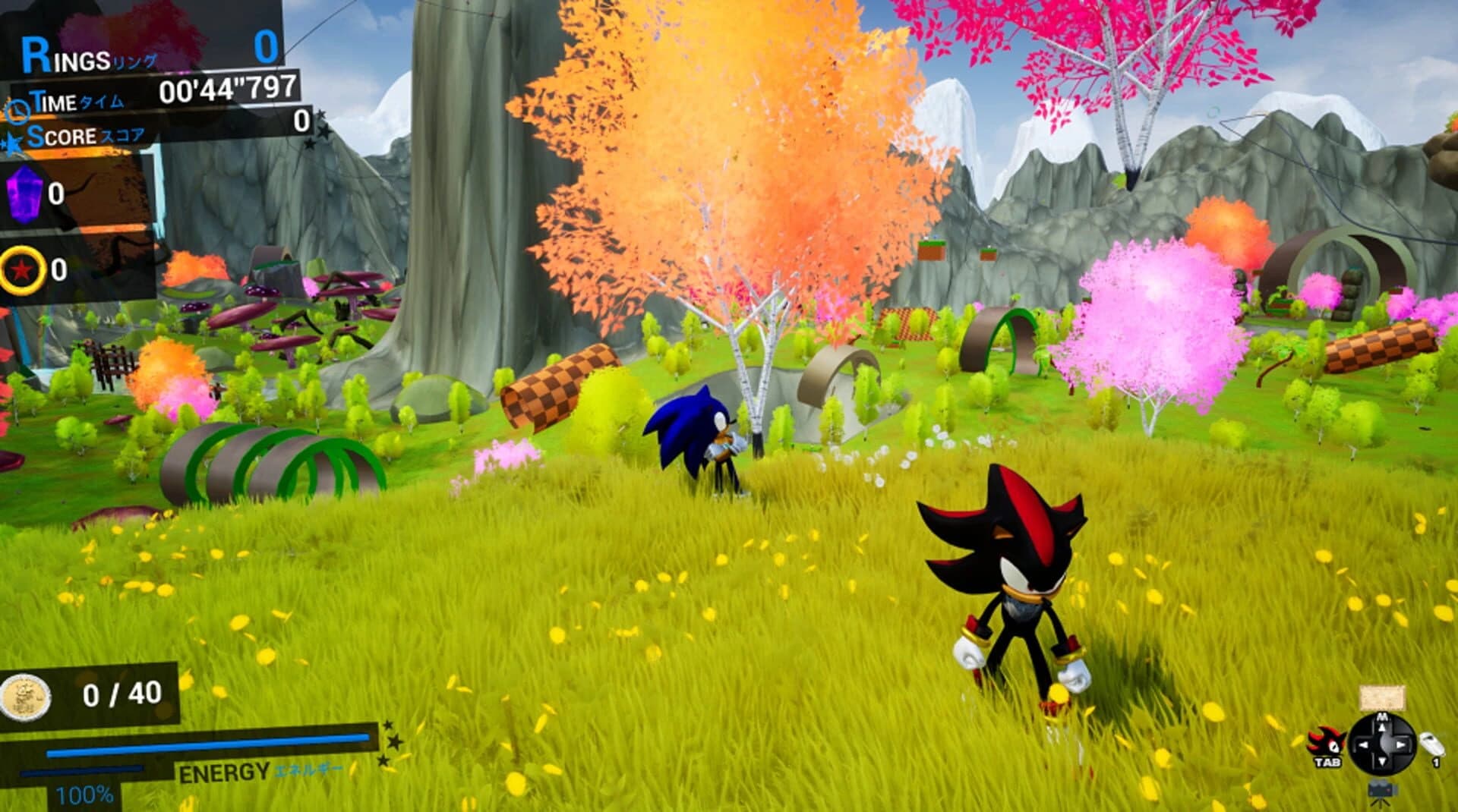 Sonic & Shadow screenshot 3