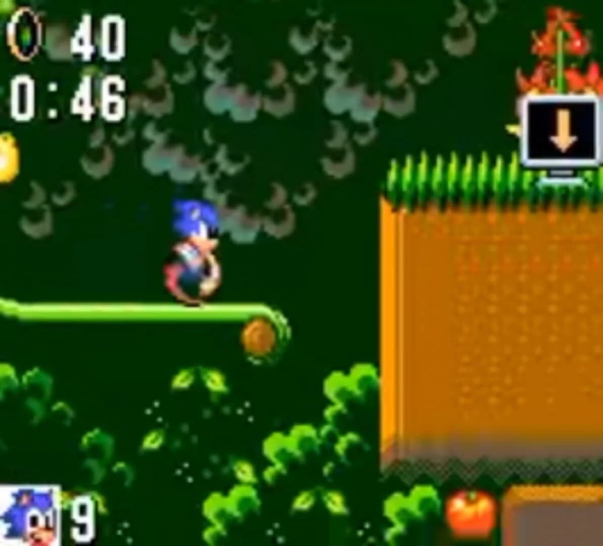Sonic the Hedgehog screenshot 2