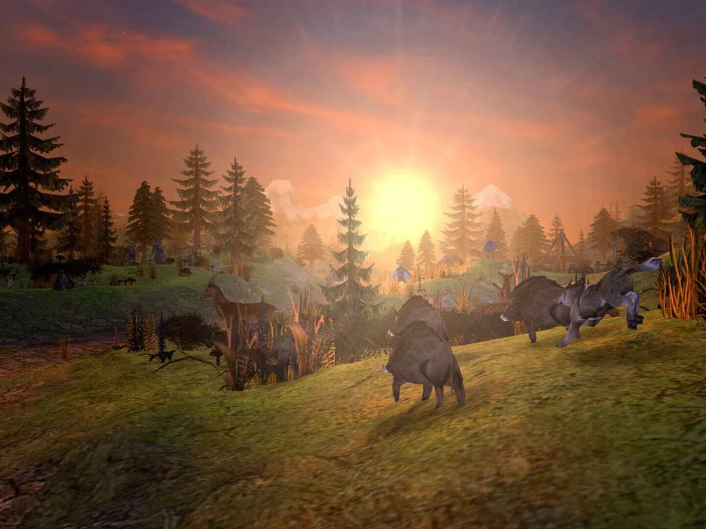 SpellForce: Platinum Edition screenshot 2