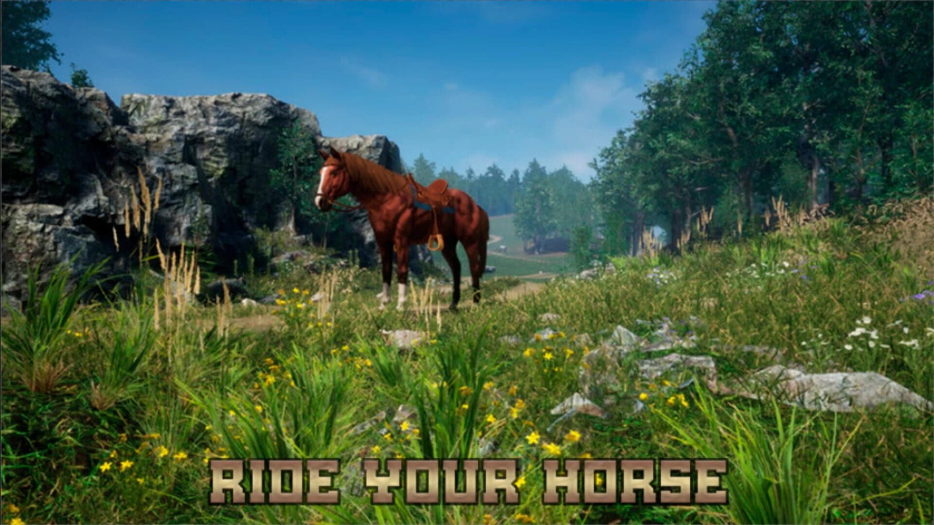 Steel Ball Race screenshot 2