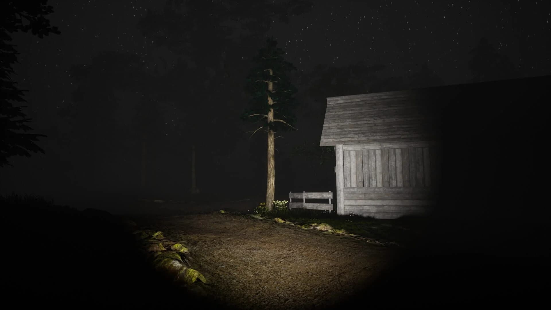 Study of Unusual: Forest of Secrets screenshot 1