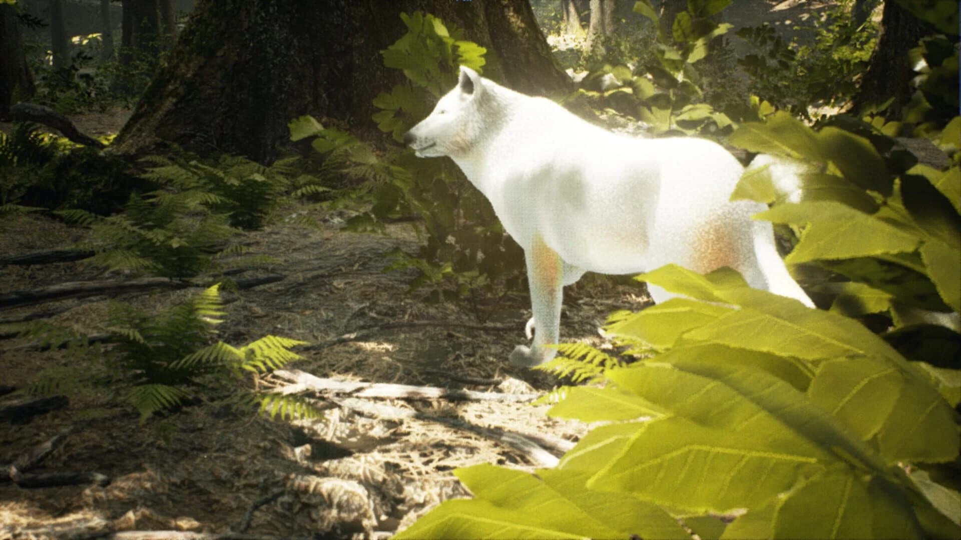 Survivalizm - The Animal Simulator screenshot 4