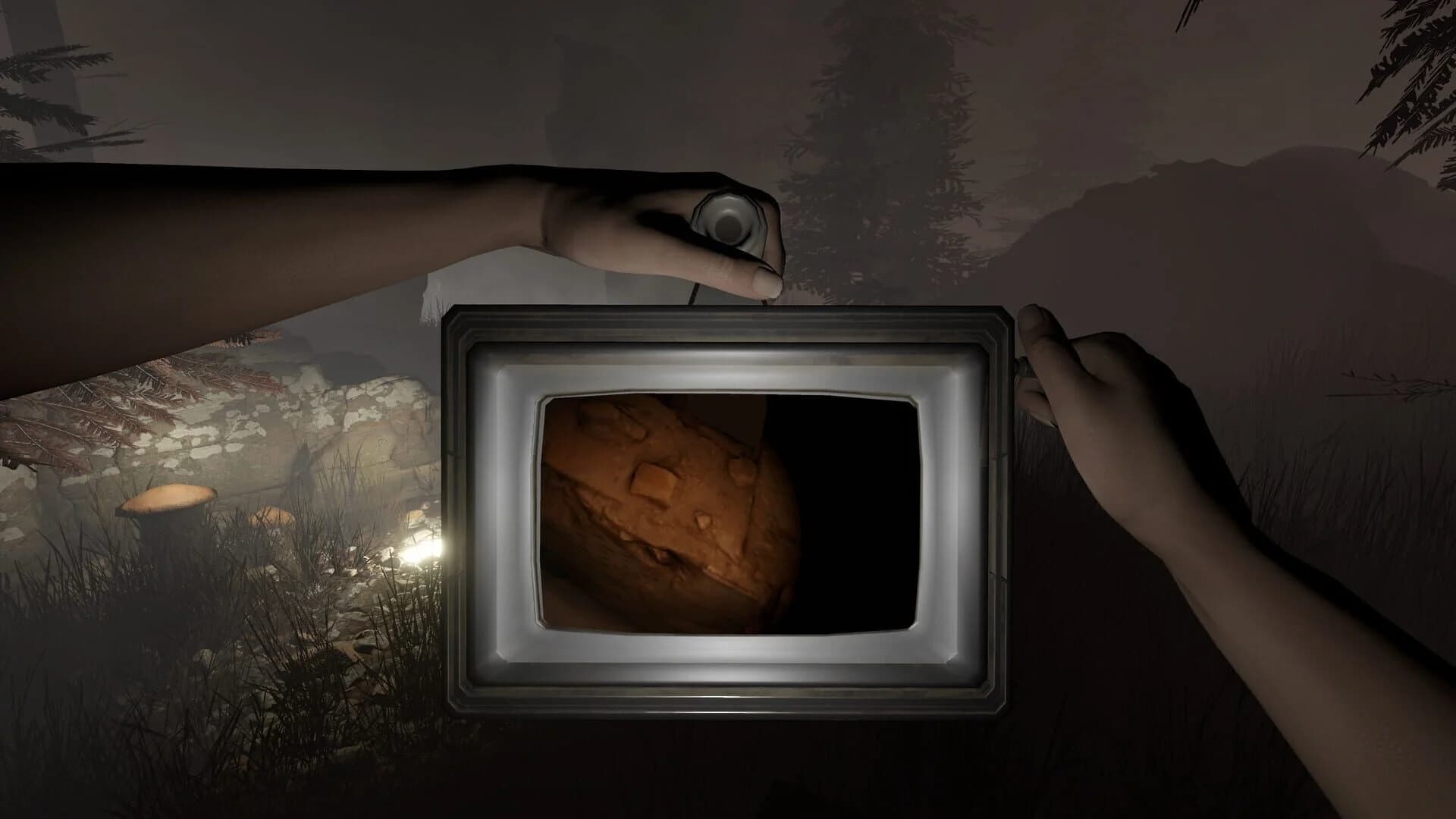 Sylvio: Black Waters screenshot 2