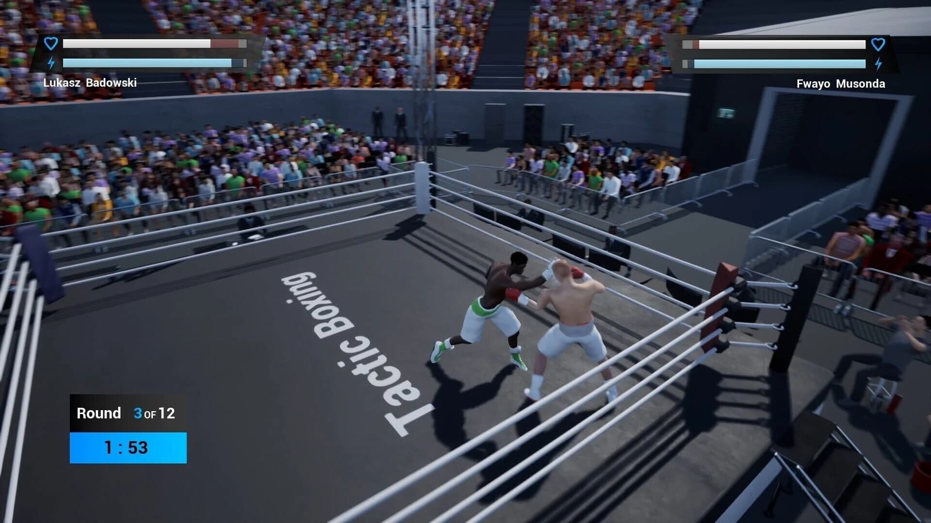 Tactic Boxing screenshot 1