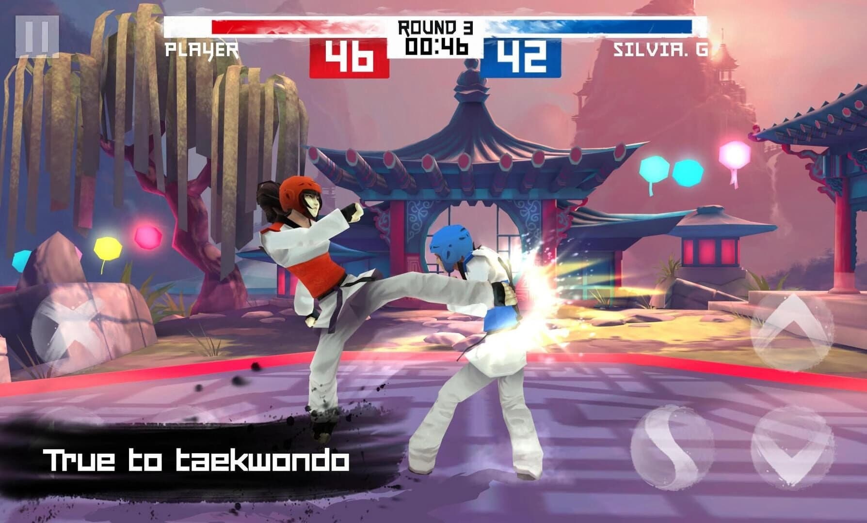 Taekwondo screenshot 3