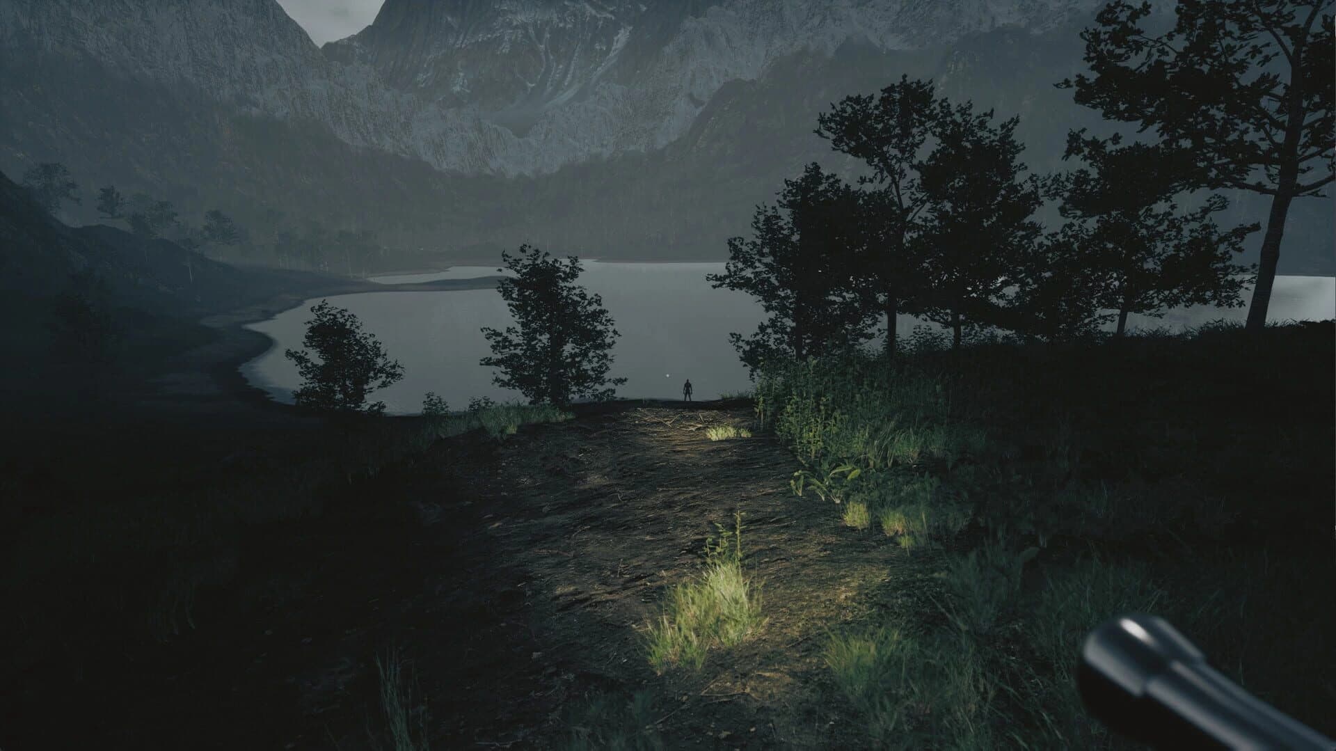 Tales From Hoia Baciu Forest screenshot 5