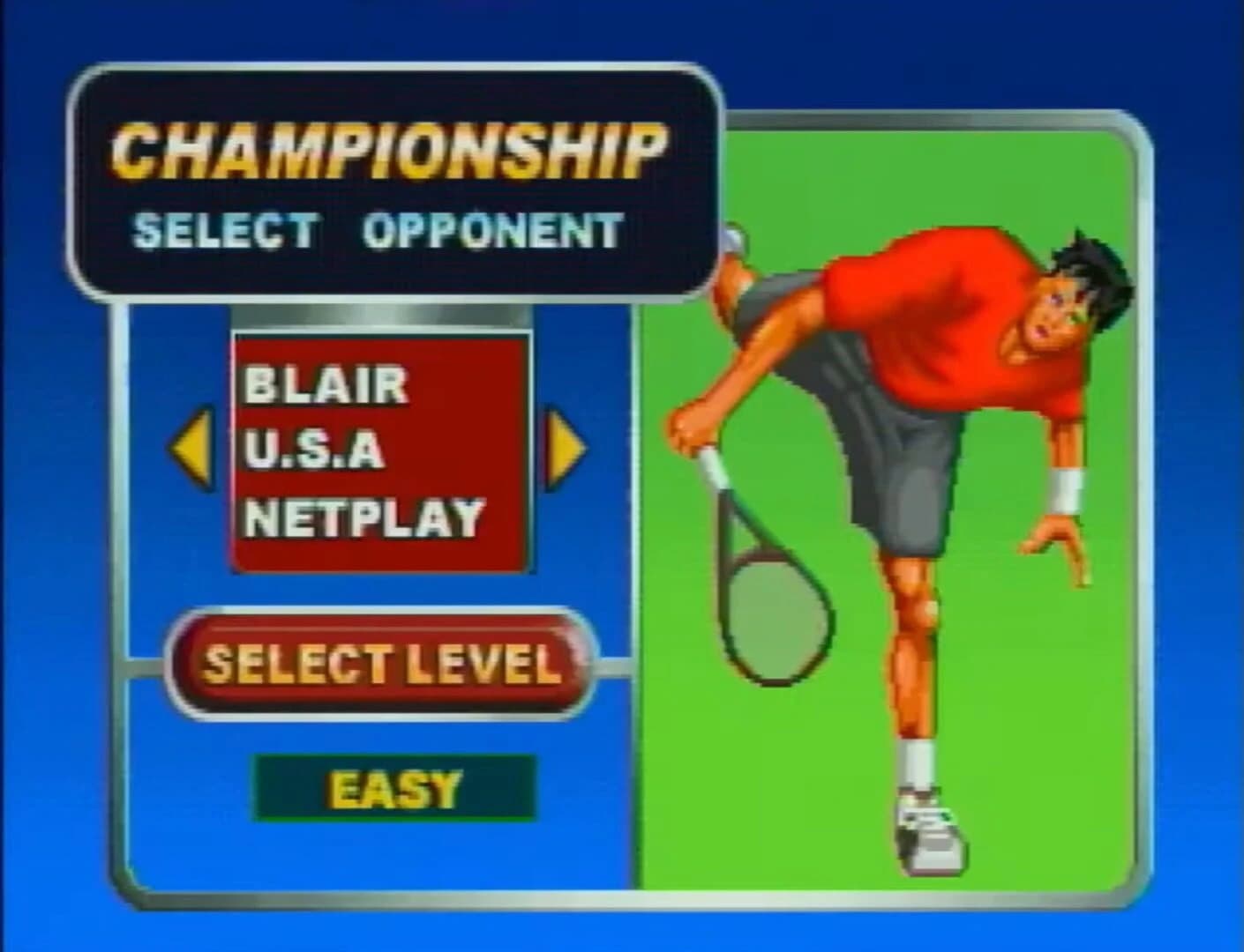 Tennis Challenge screenshot 2
