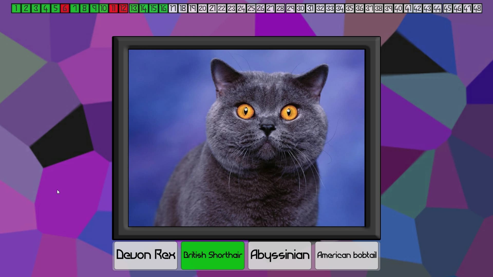 Test Your Knowledge: Cats screenshot 6