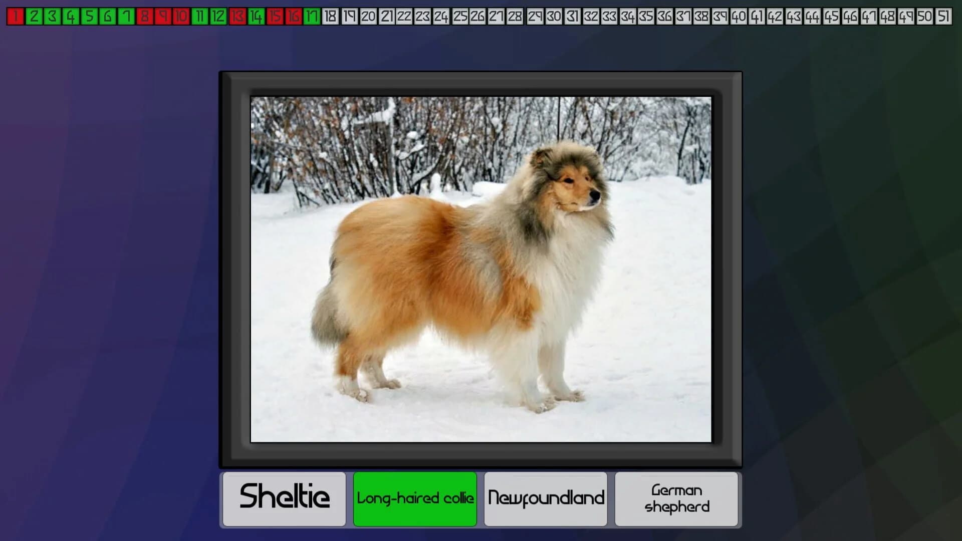 Test your knowledge: Dogs screenshot 5