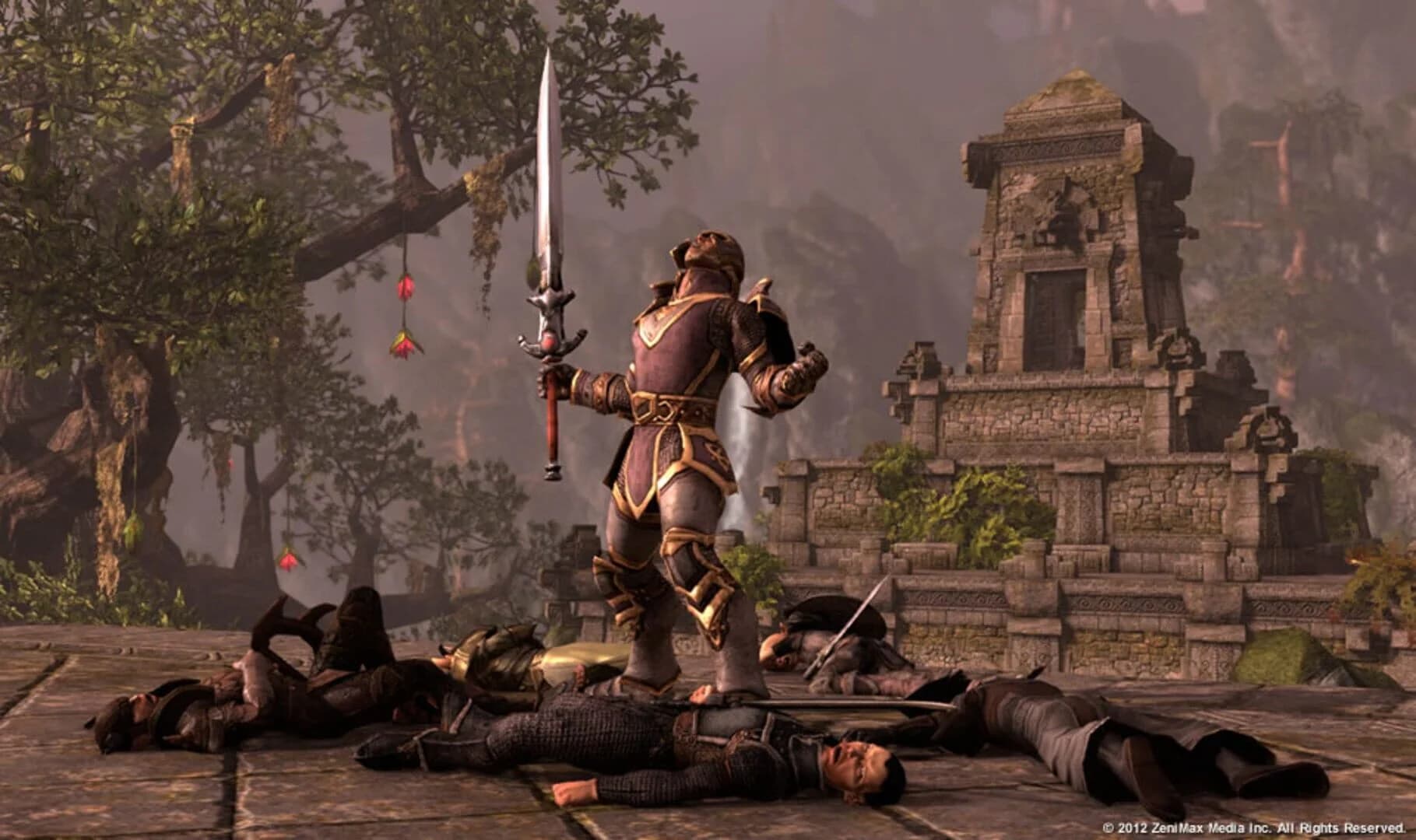 The Elder Scrolls Online screenshot 2