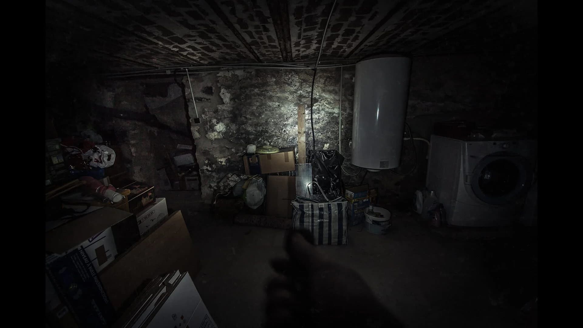 The Fan screenshot 3