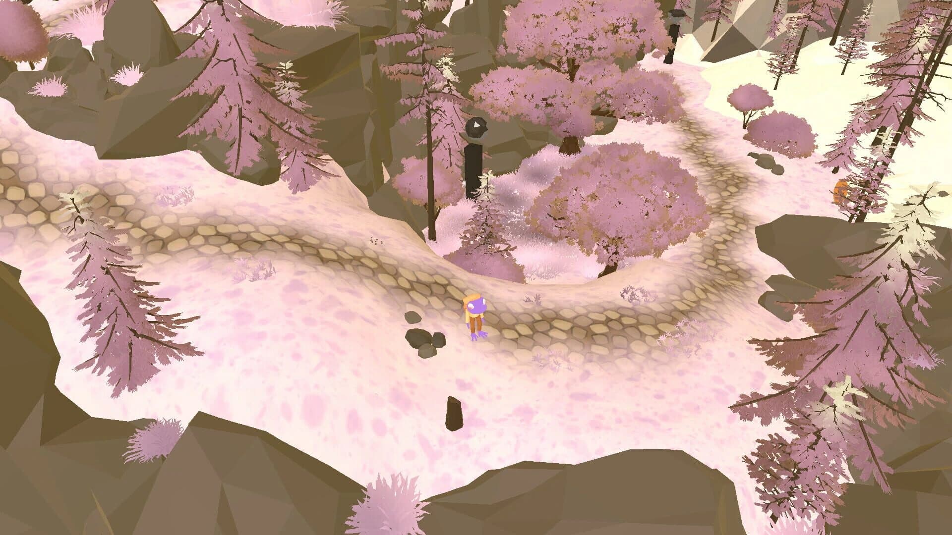 The Frog Festival screenshot 5