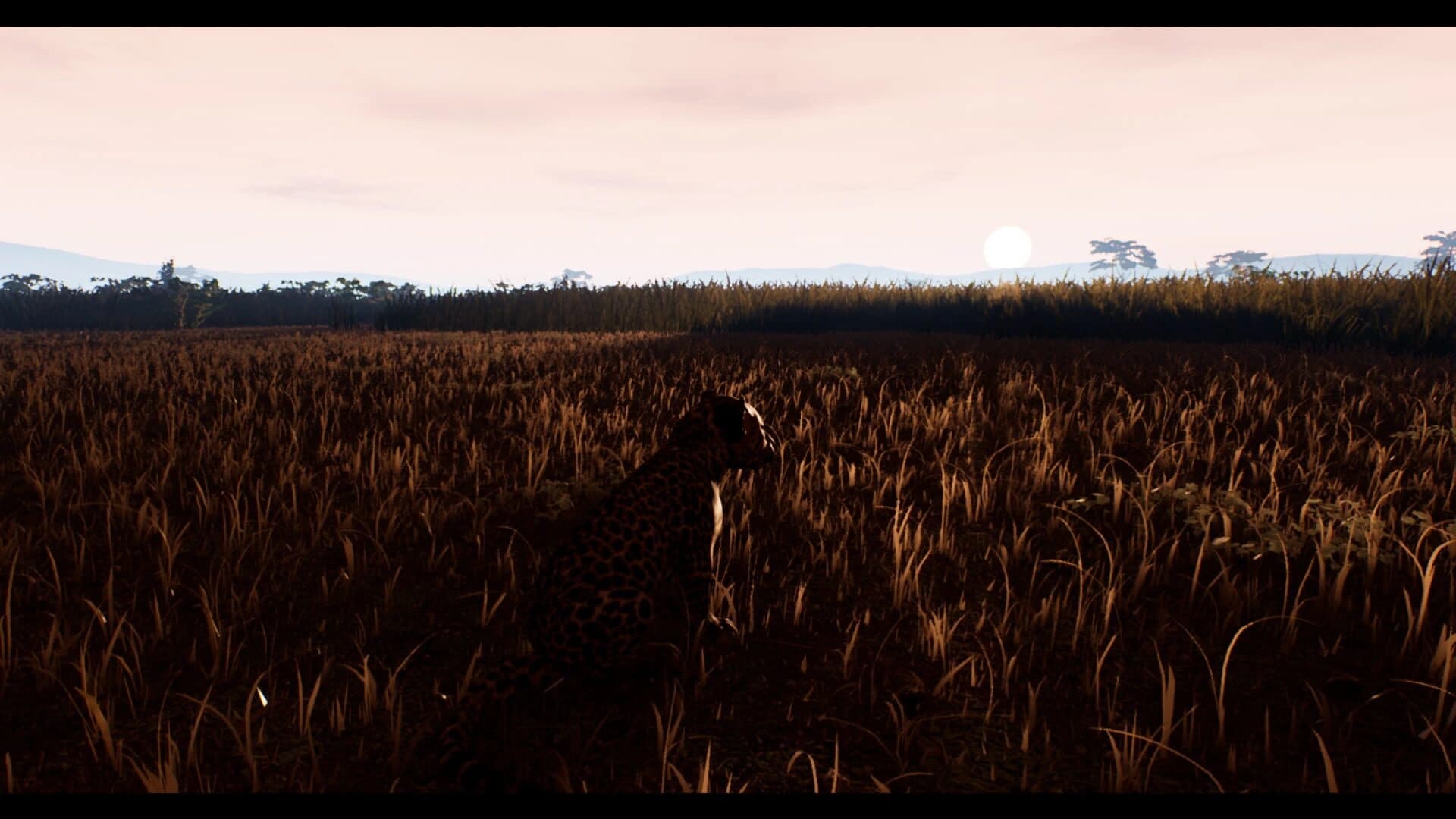 The Great Circle screenshot 1