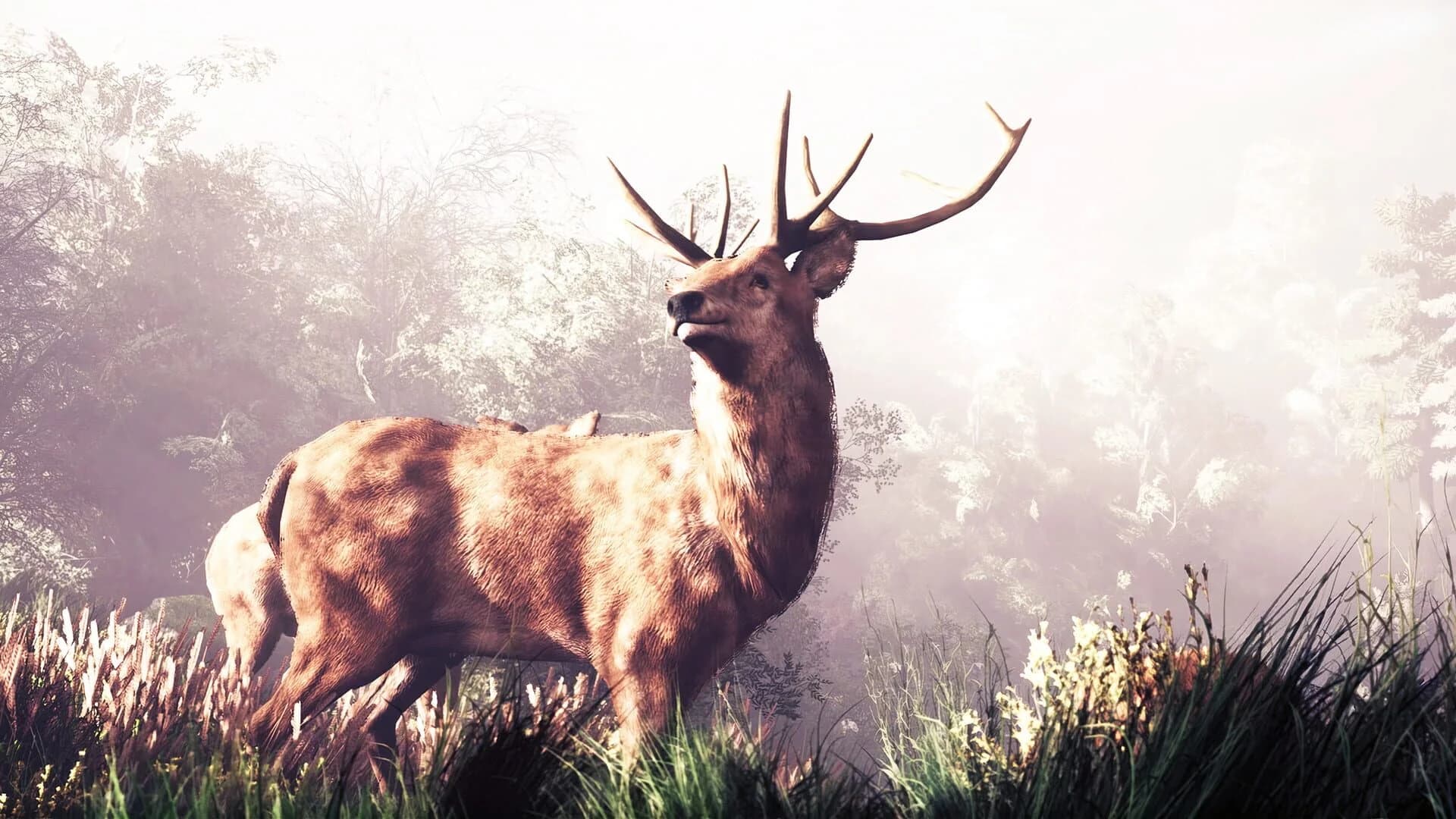 The House in the Hollow screenshot 1