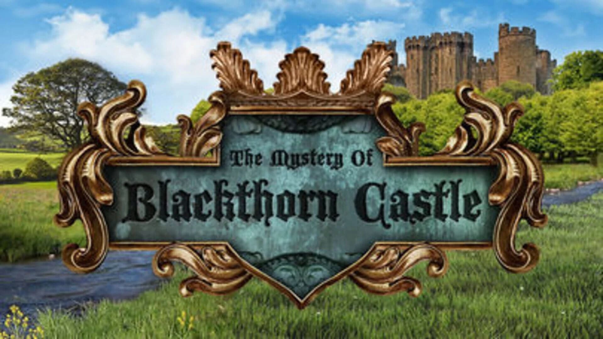 The Mystery of Blackthorn Castle screenshot 5