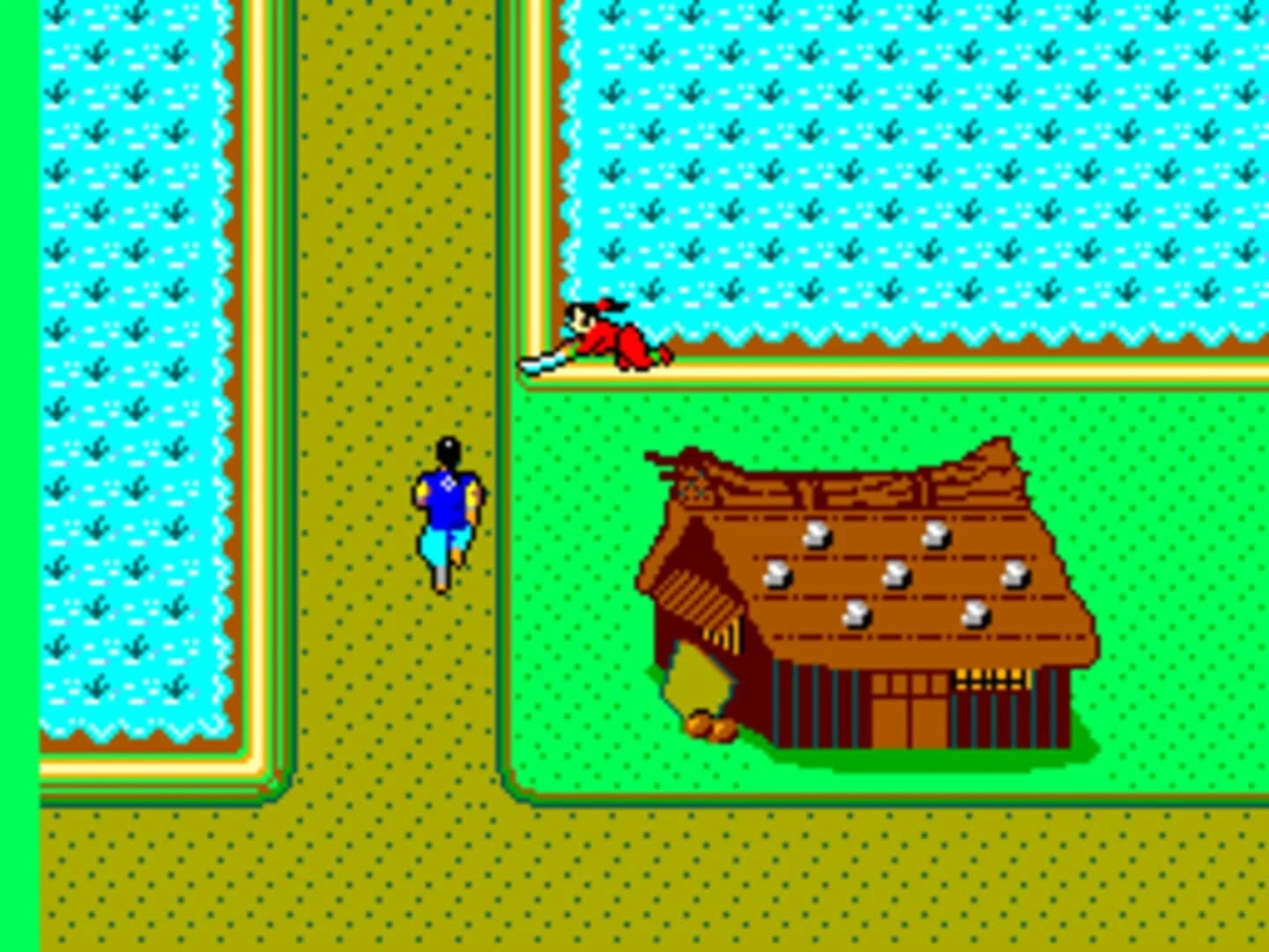 The Ninja screenshot 5