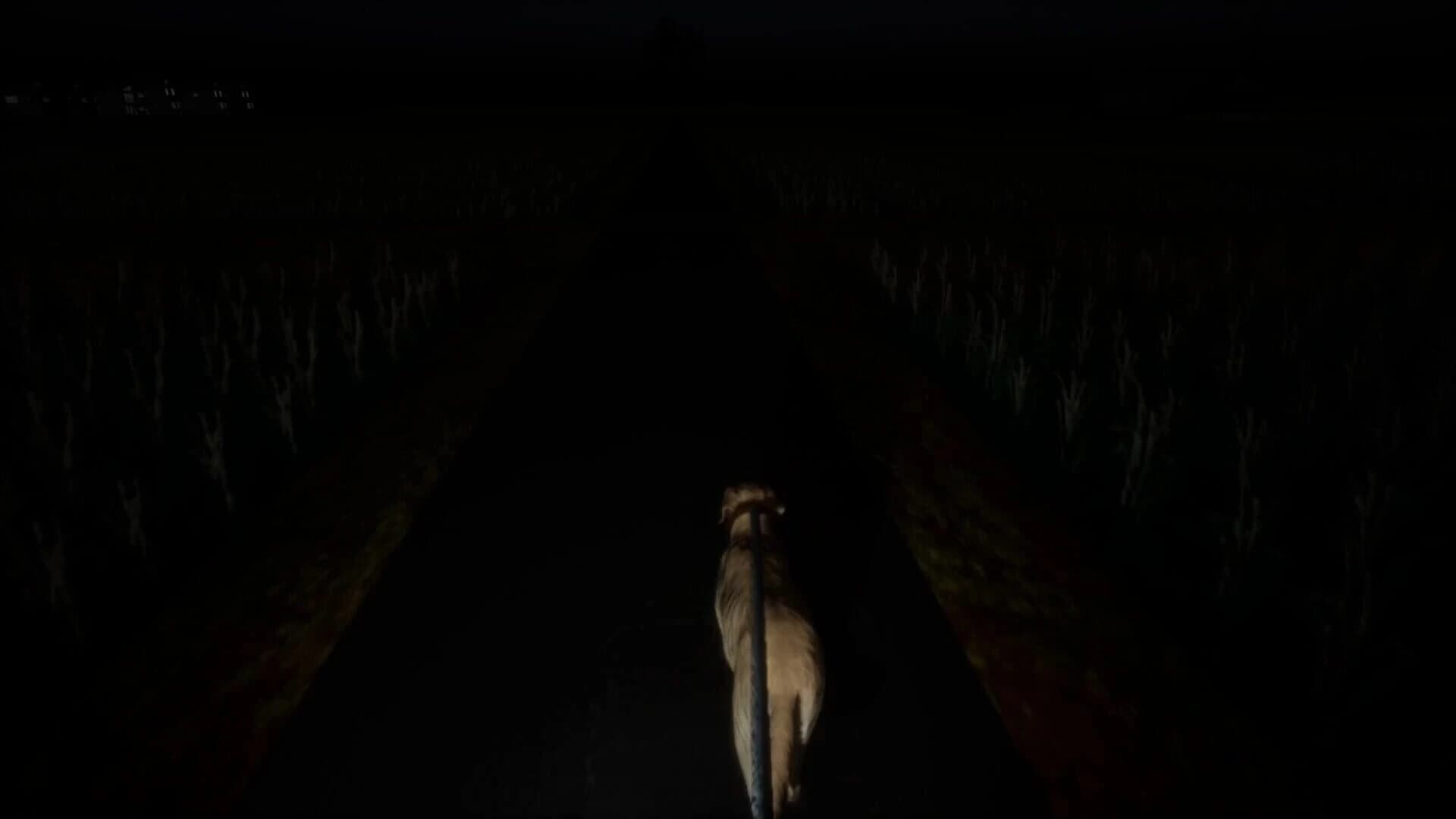 The Paddy Field screenshot 5