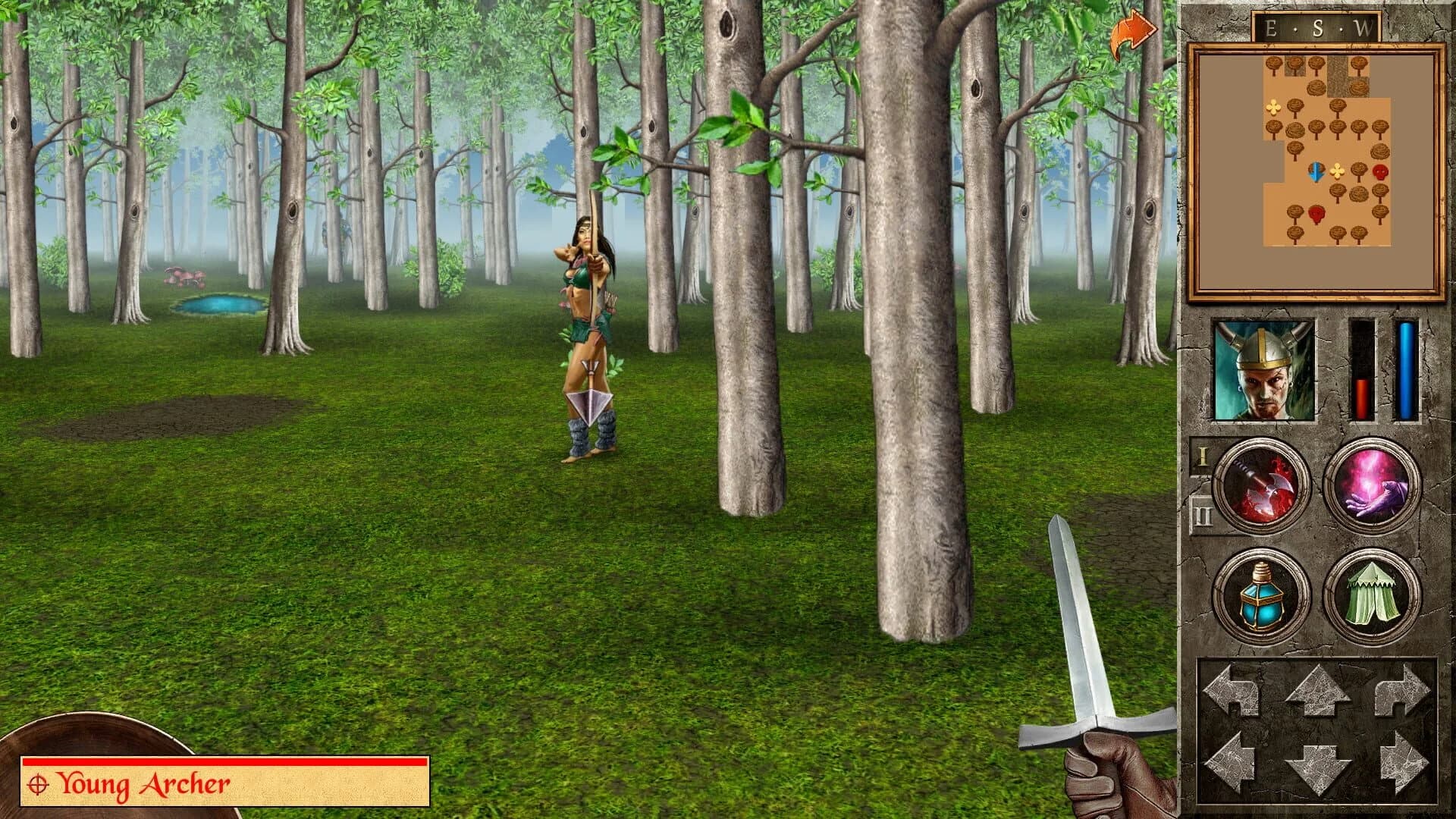 The Quest screenshot 5