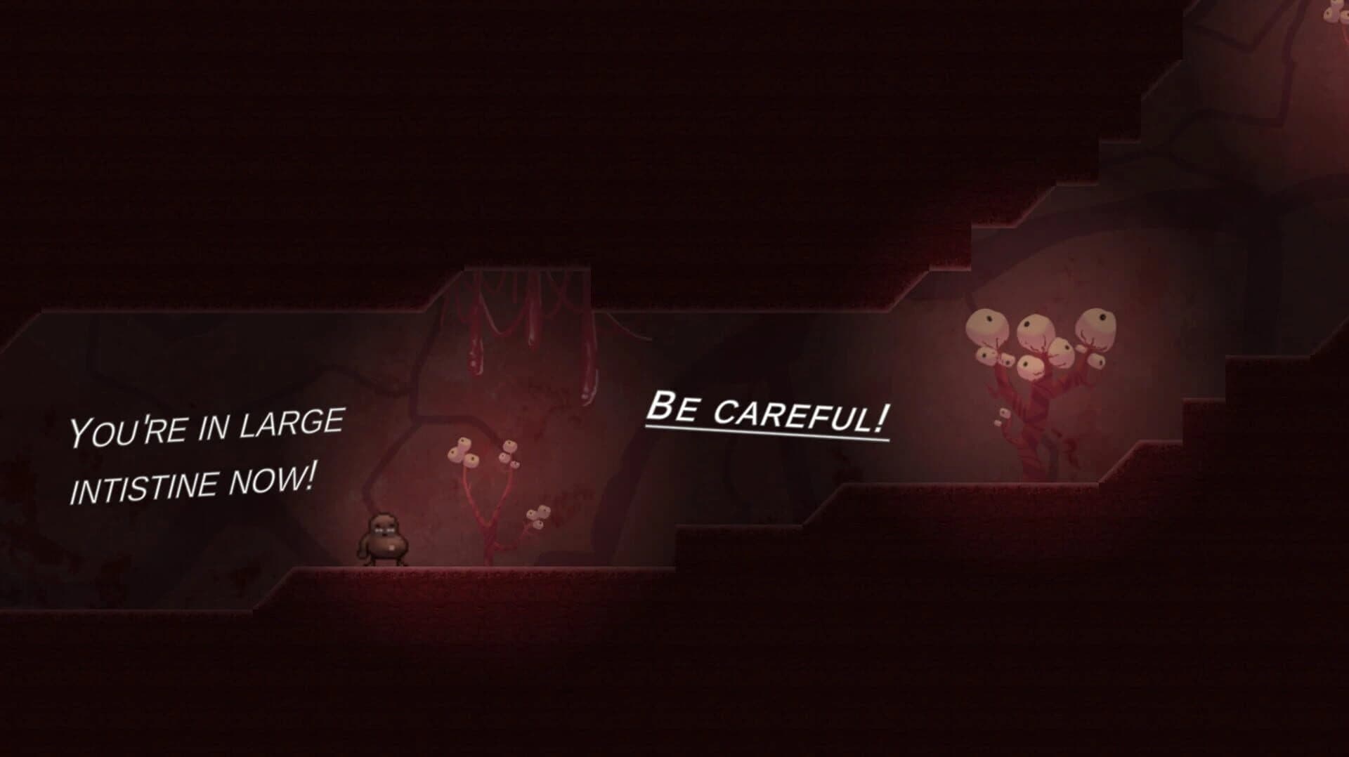 The Runaway Feijoao screenshot 2