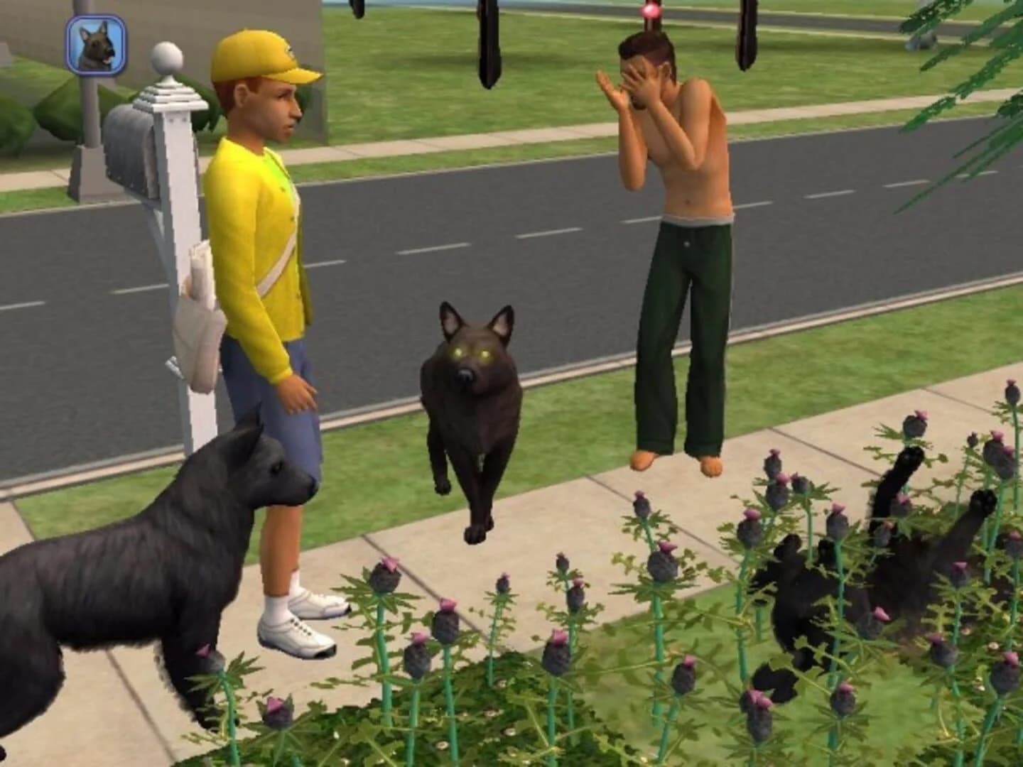 The Sims 2: Pets screenshot 3