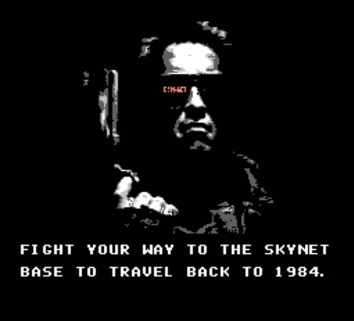 The Terminator screenshot 1
