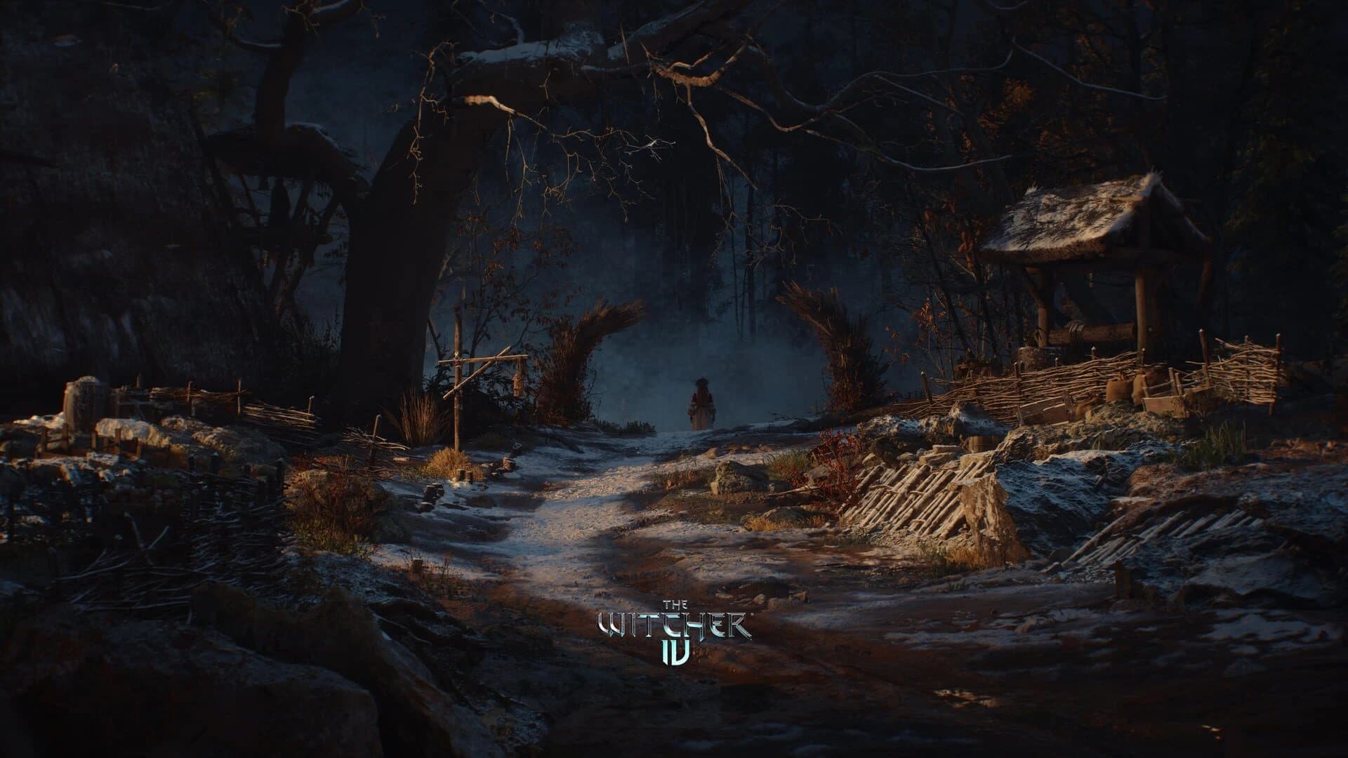 The Witcher IV screenshot 3