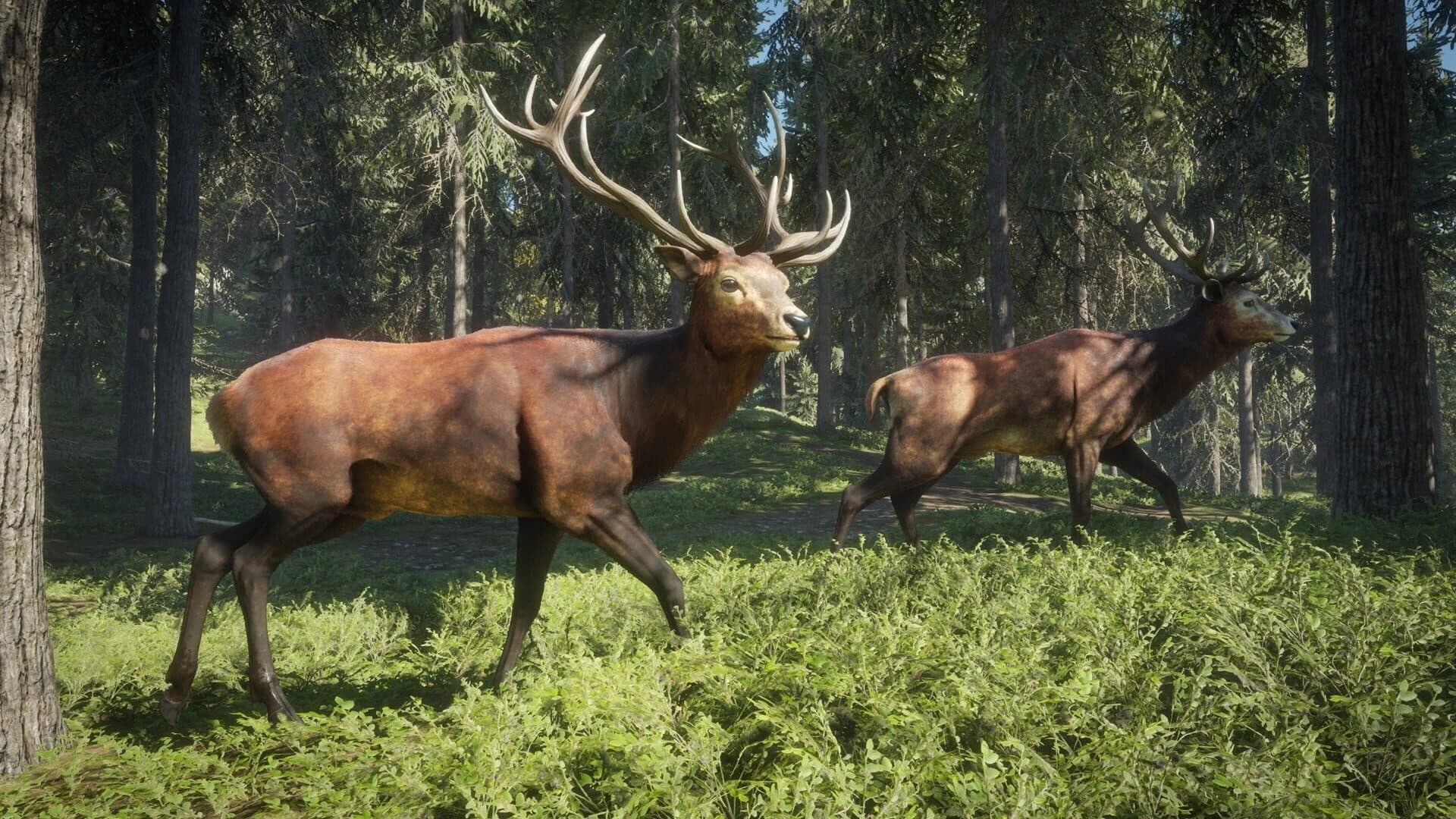 TheHunter: Call of the Wild - 2019 Edition screenshot 4