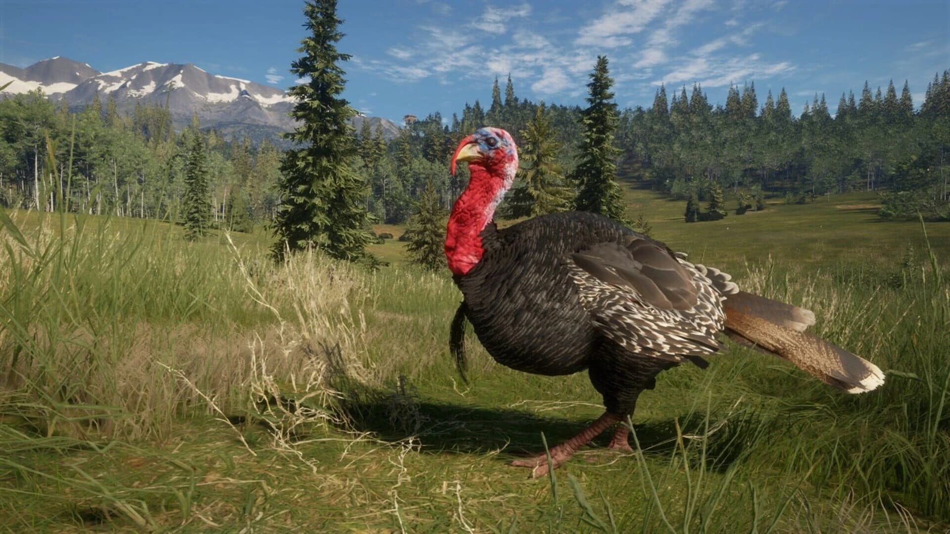 TheHunter: Call of the Wild - 2021 Edition screenshot 5