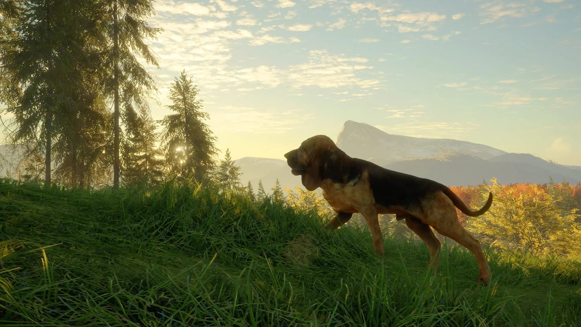 TheHunter: Call of the Wild - Bloodhound screenshot 4