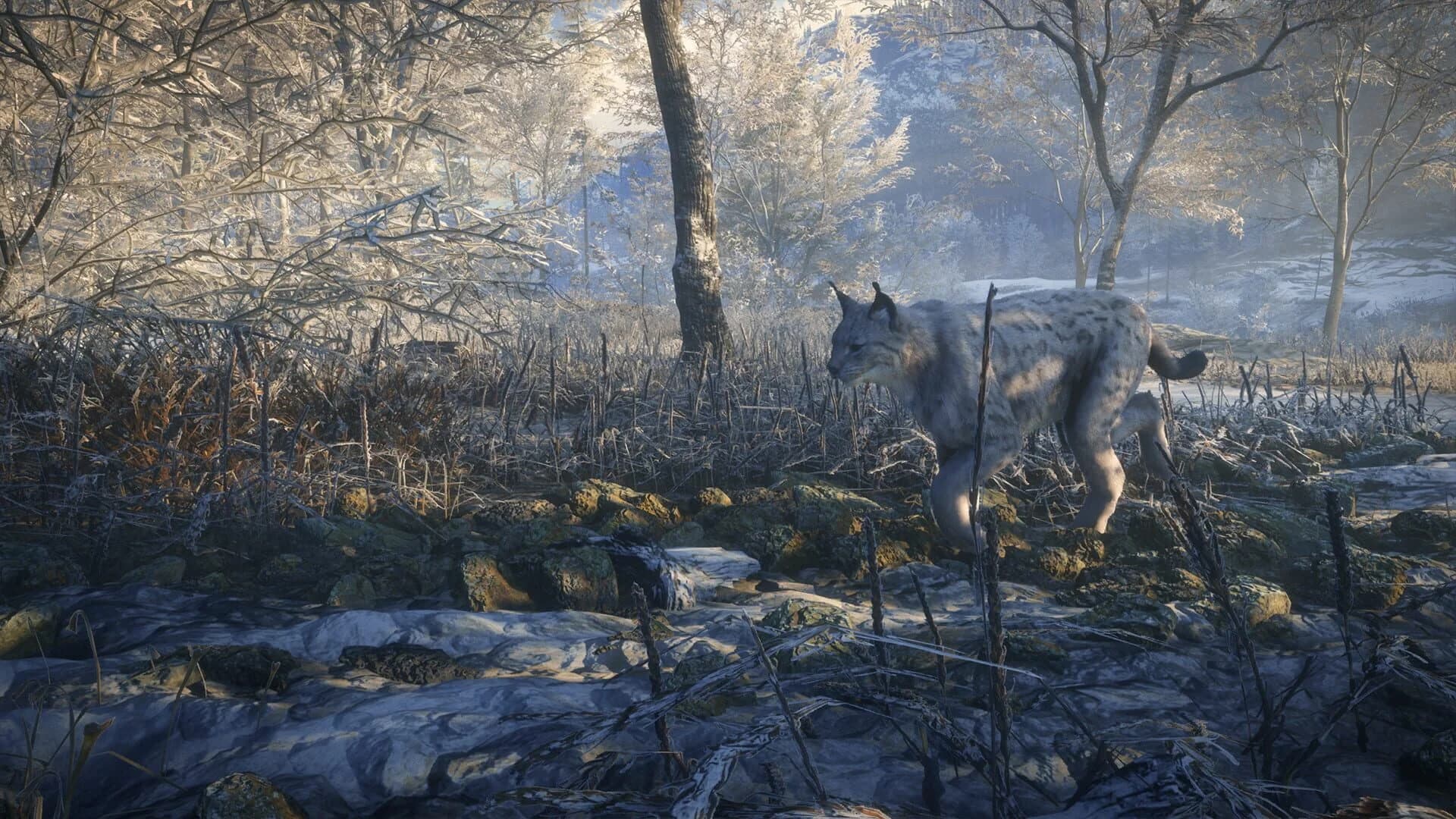 TheHunter: Call of the Wild - Medved-Taiga screenshot 5