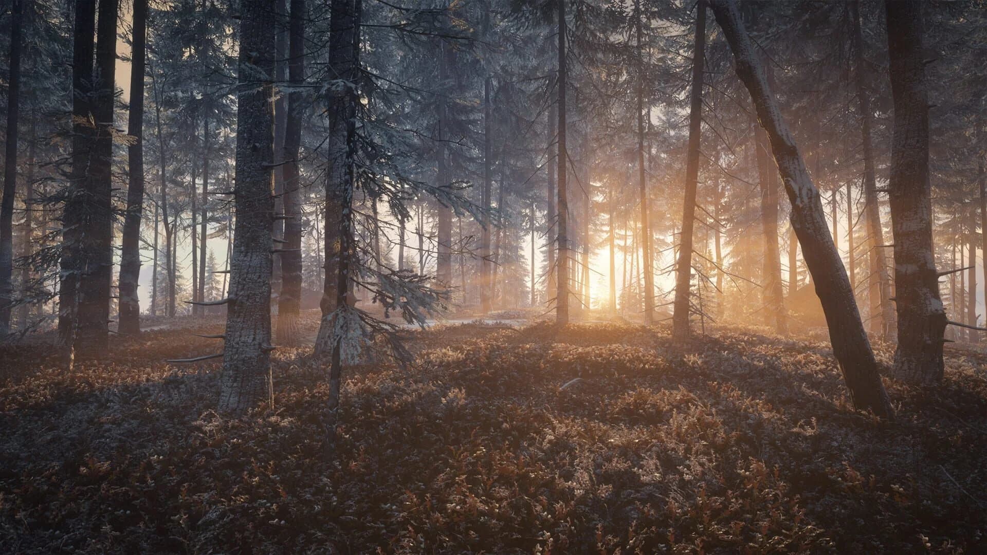 TheHunter: Call of the Wild - Medved-Taiga screenshot 2