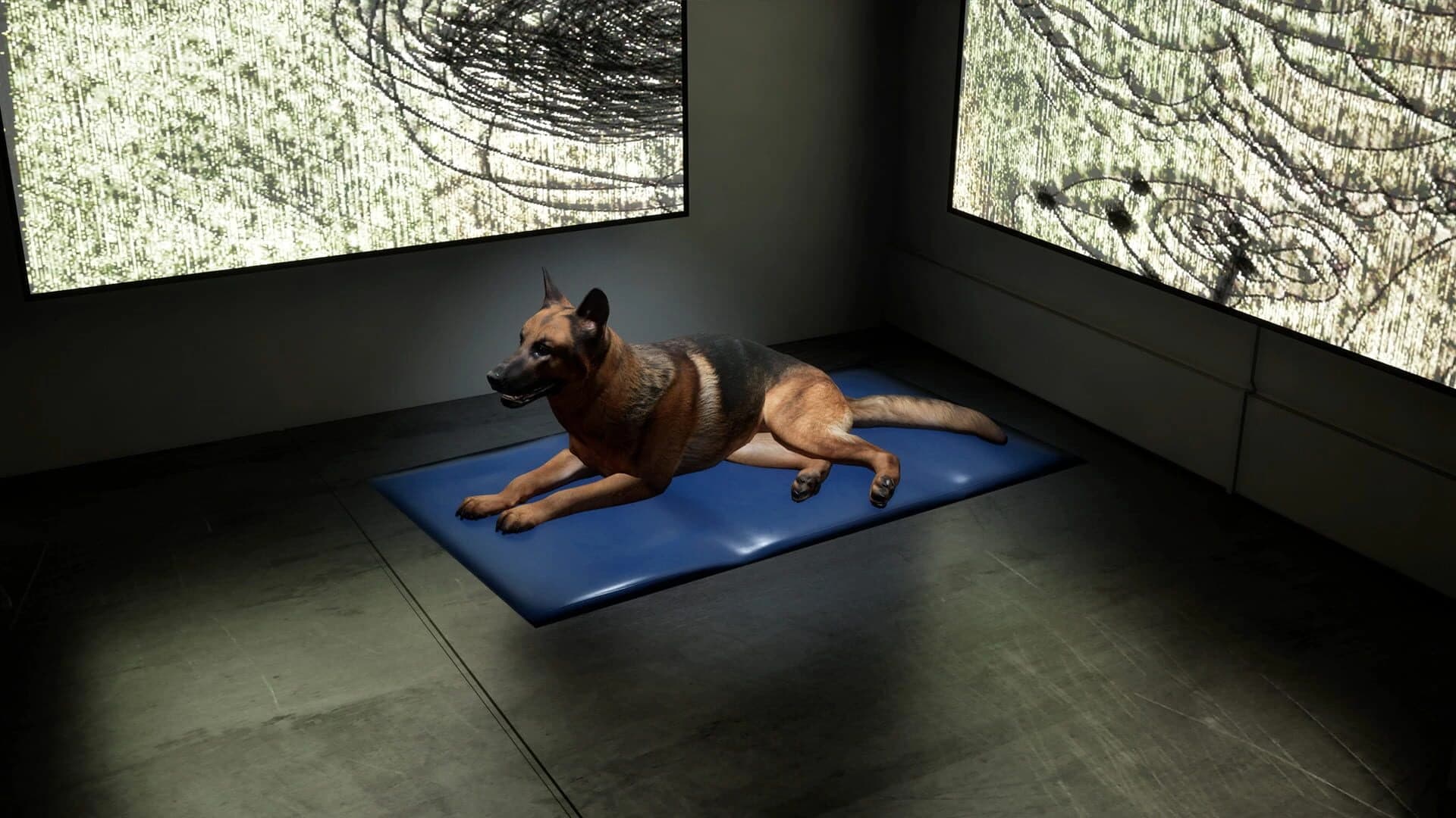 They See Us screenshot 3