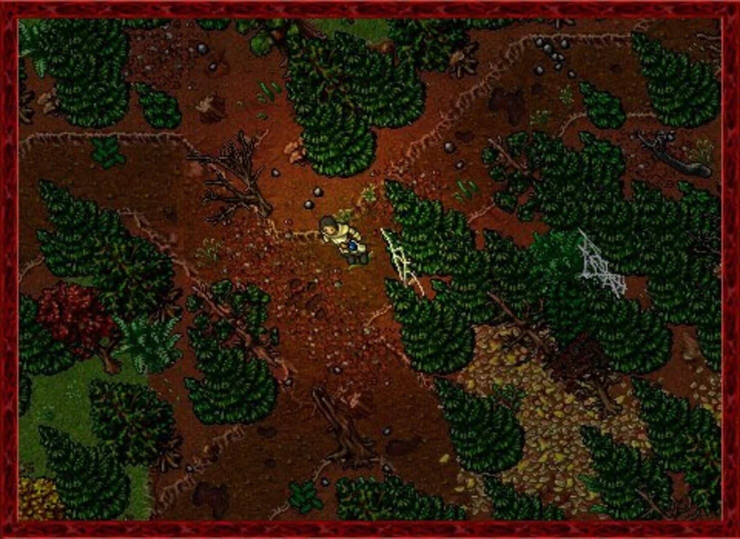 Tibia screenshot 4