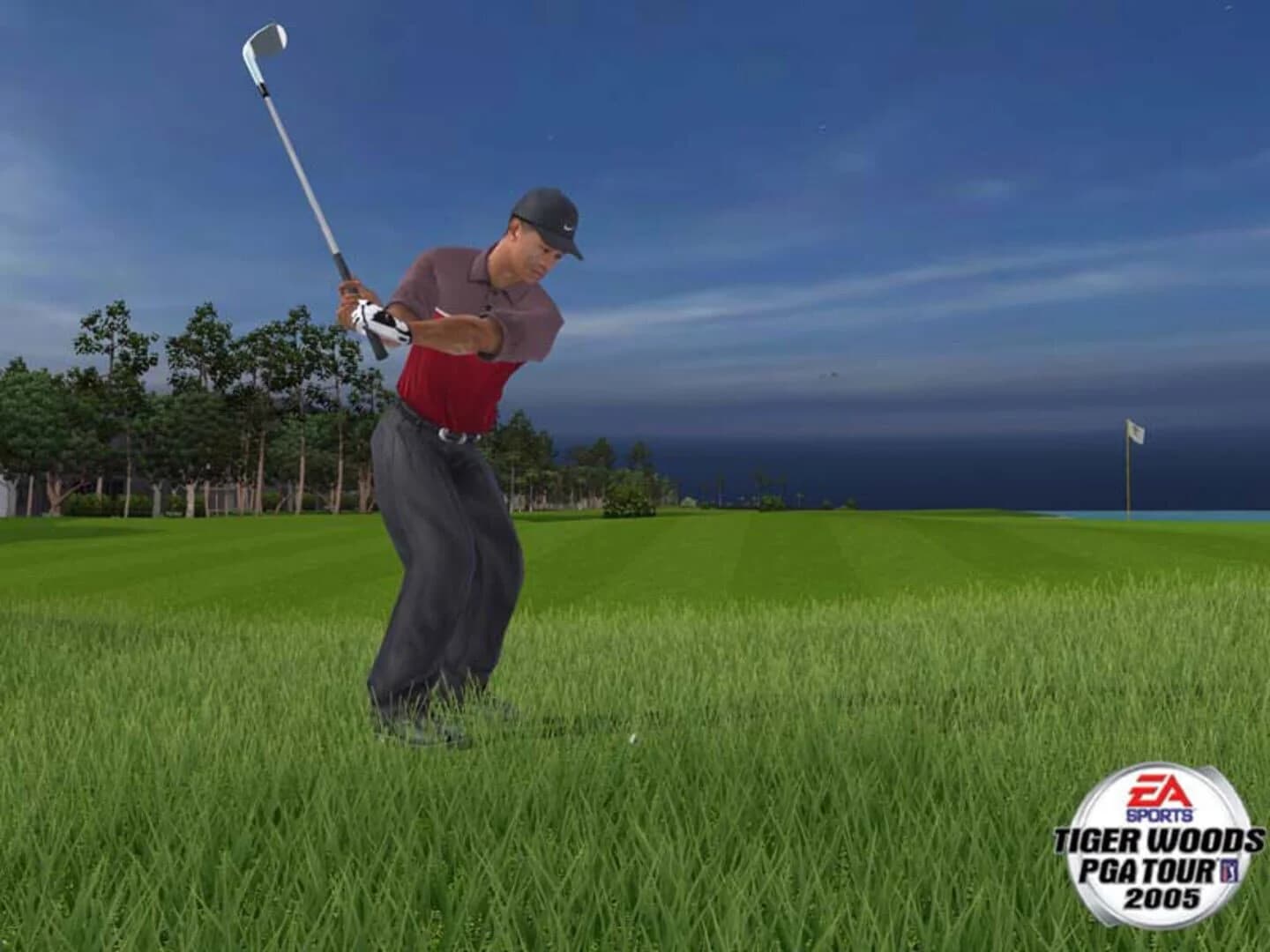 Tiger Woods PGA Tour 2005 screenshot 1