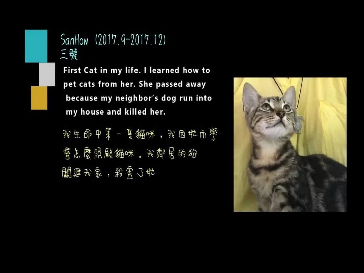 Tigey's Gift screenshot 2