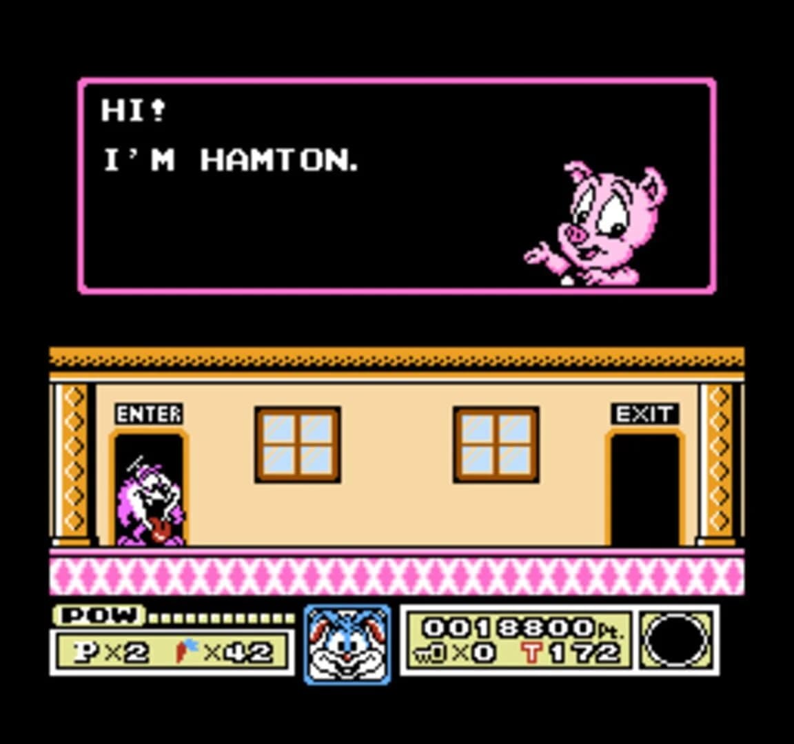 Tiny Toon Adventures screenshot 1