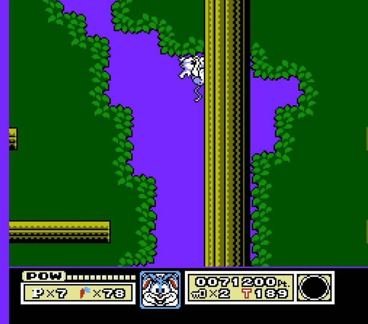 Tiny Toon Adventures screenshot 4