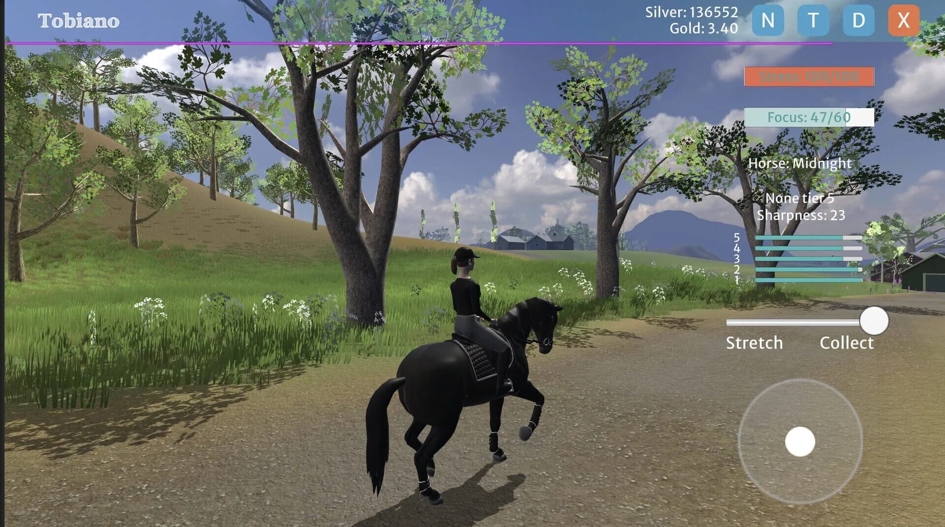 Tobiano screenshot 5