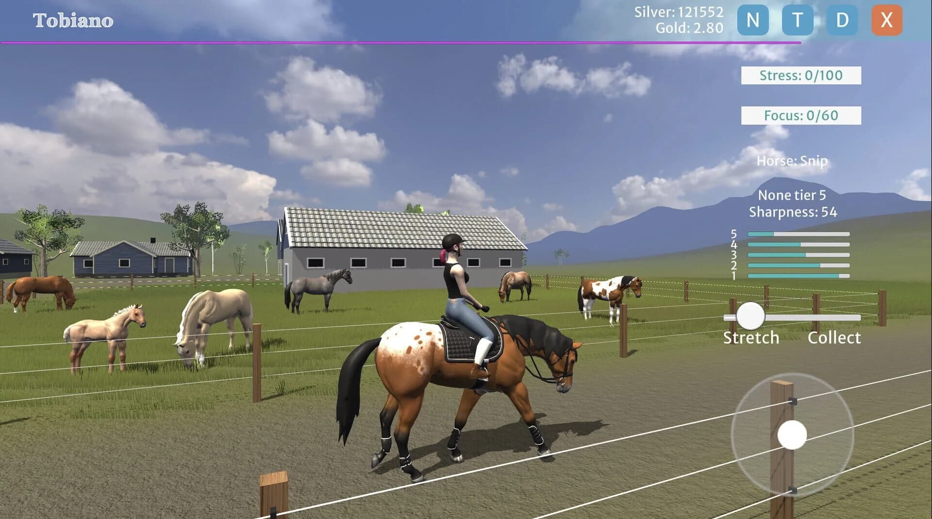 Tobiano screenshot 3