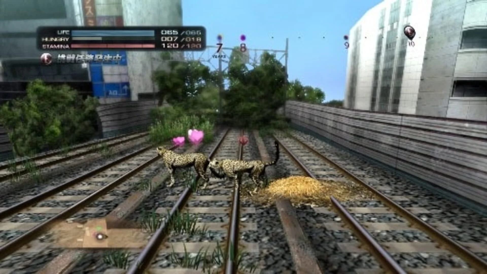 Tokyo Jungle screenshot 3