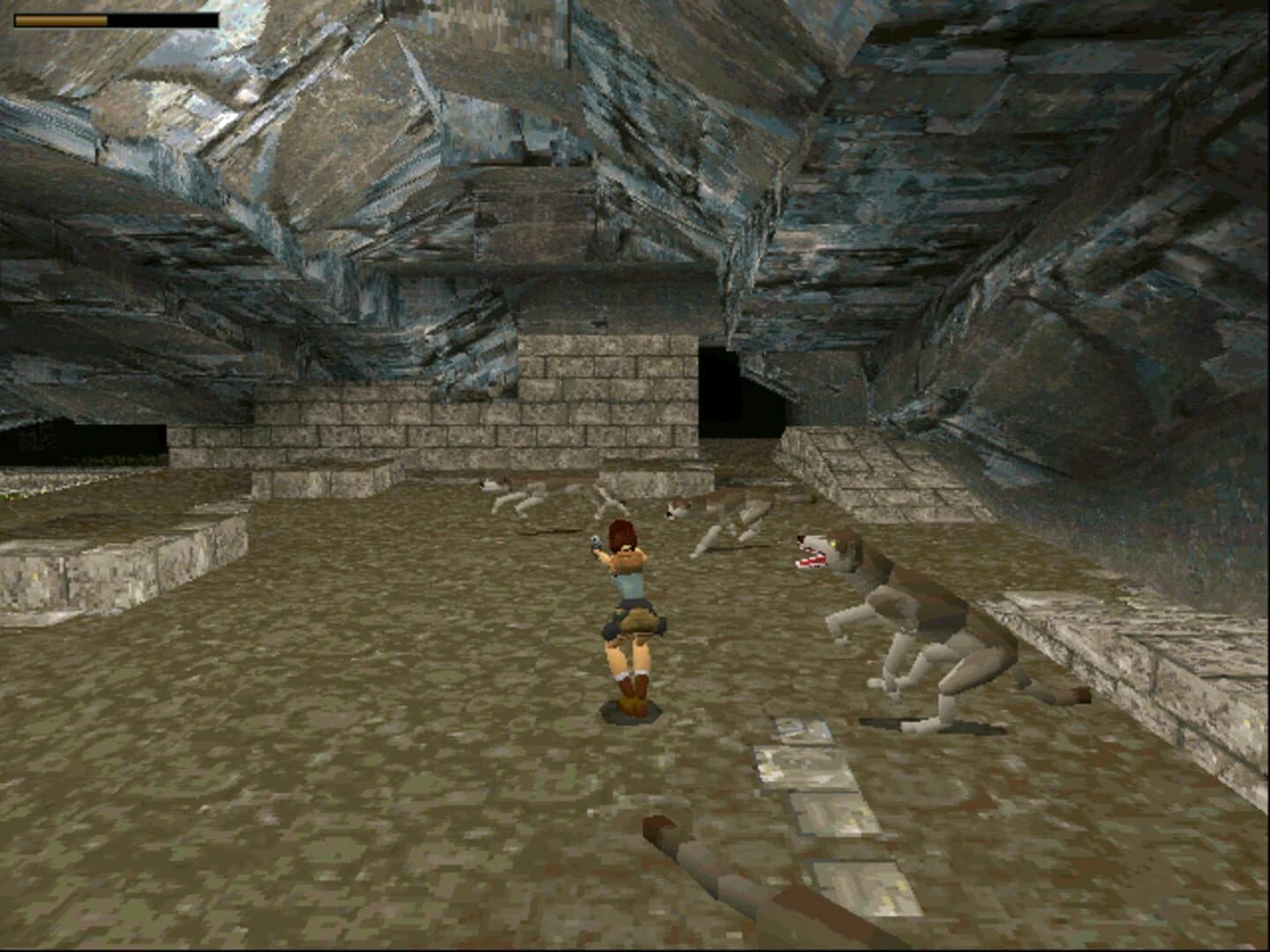 Tomb Raider: Collector's Edition screenshot 3