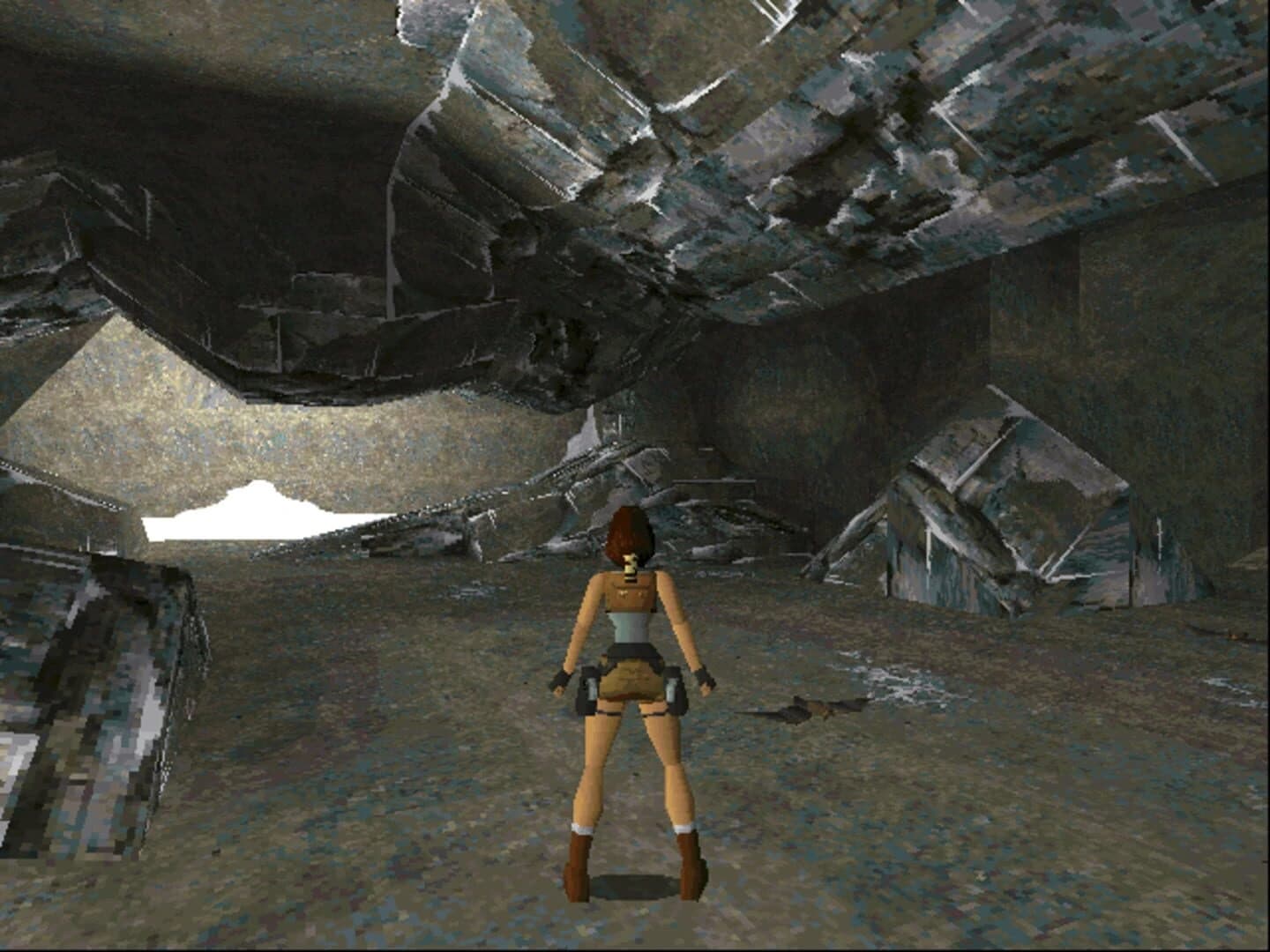 Tomb Raider: Collector's Edition screenshot 1