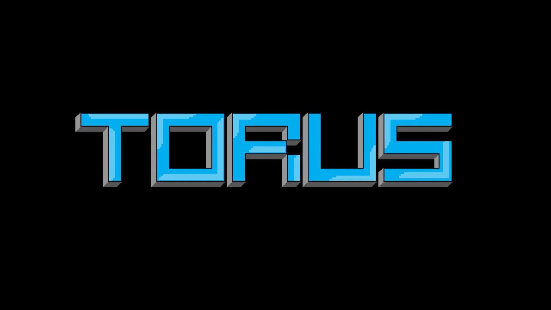 Torus screenshot 3
