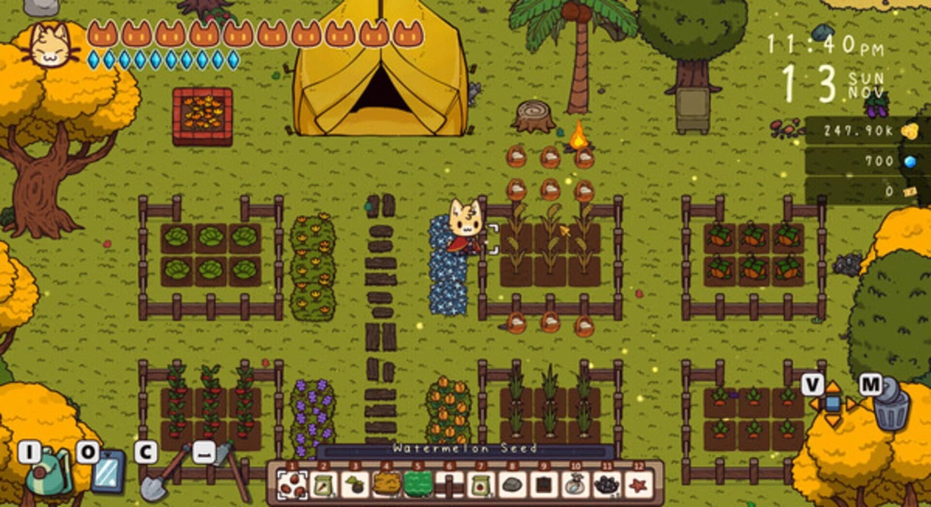 Travel Cat: Adventure Island screenshot 1