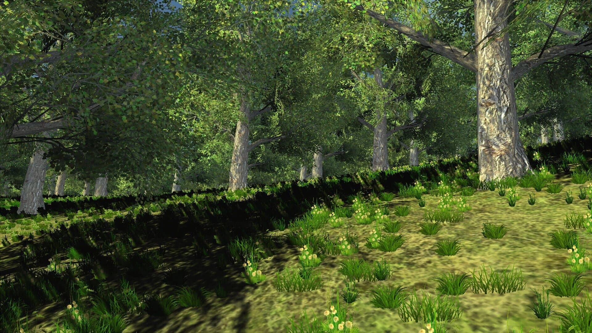 Trials of Wilderness screenshot 2