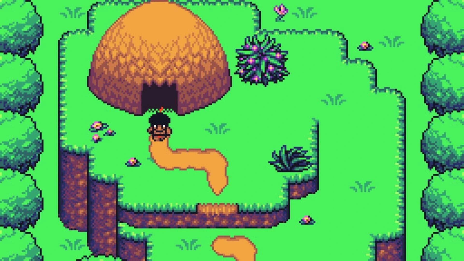 Tropicalia screenshot 1