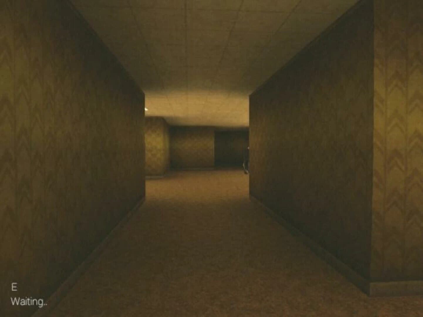 True Backrooms screenshot 4