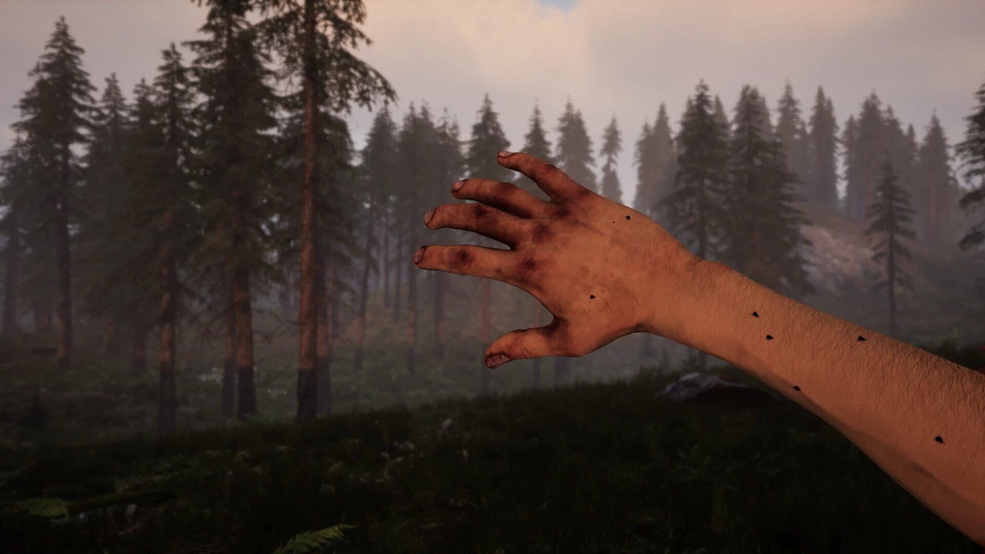 Tunguska: A Call in the Woods screenshot 1
