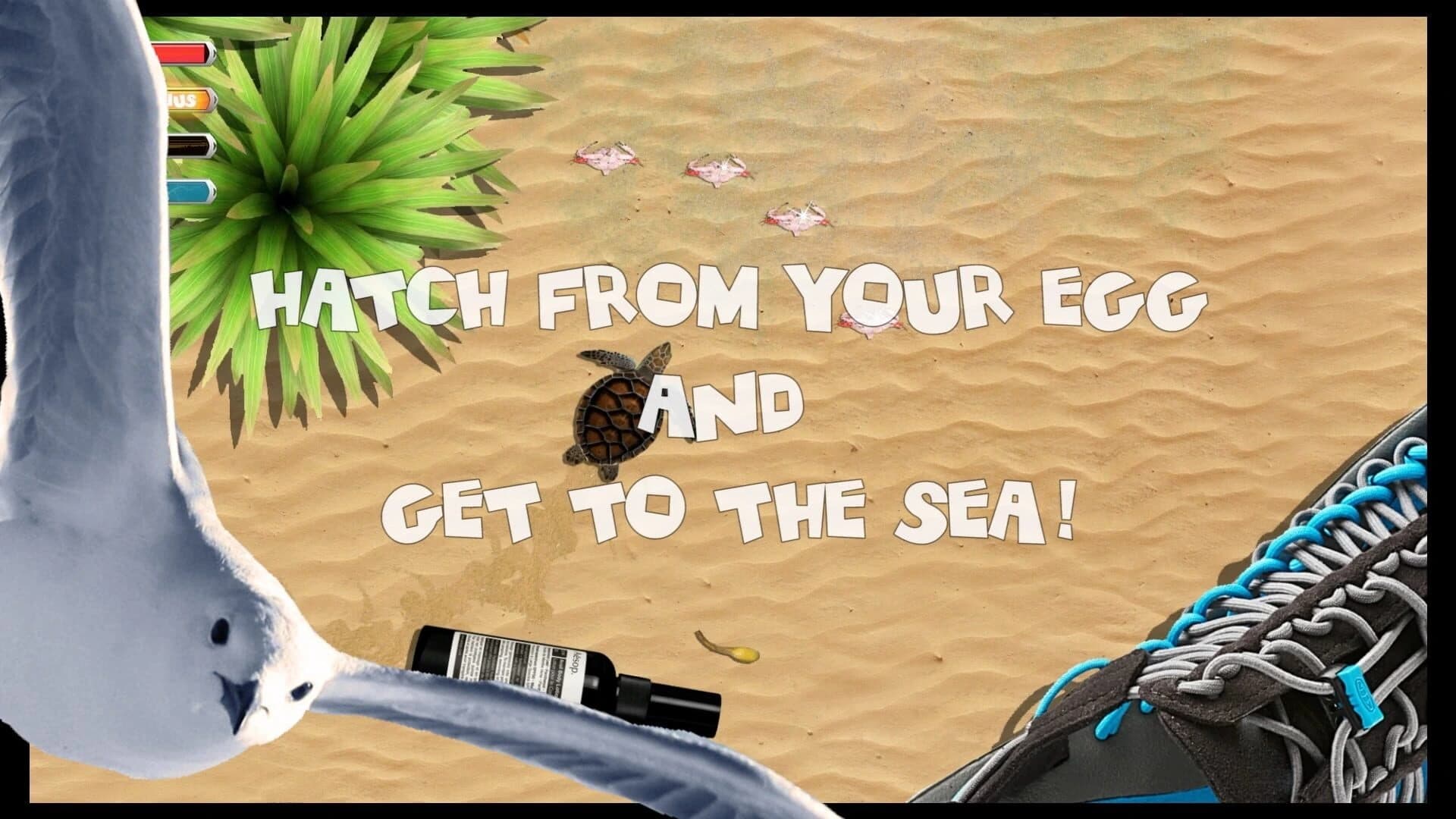 Turtle Quest screenshot 4
